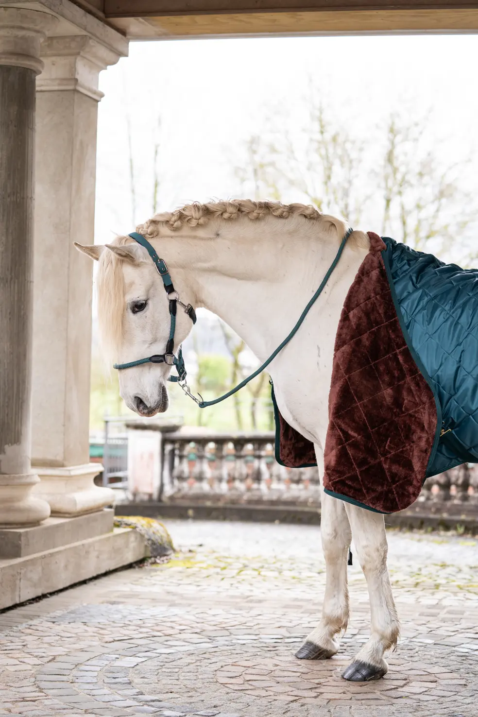 Stalldecke -Winter II-