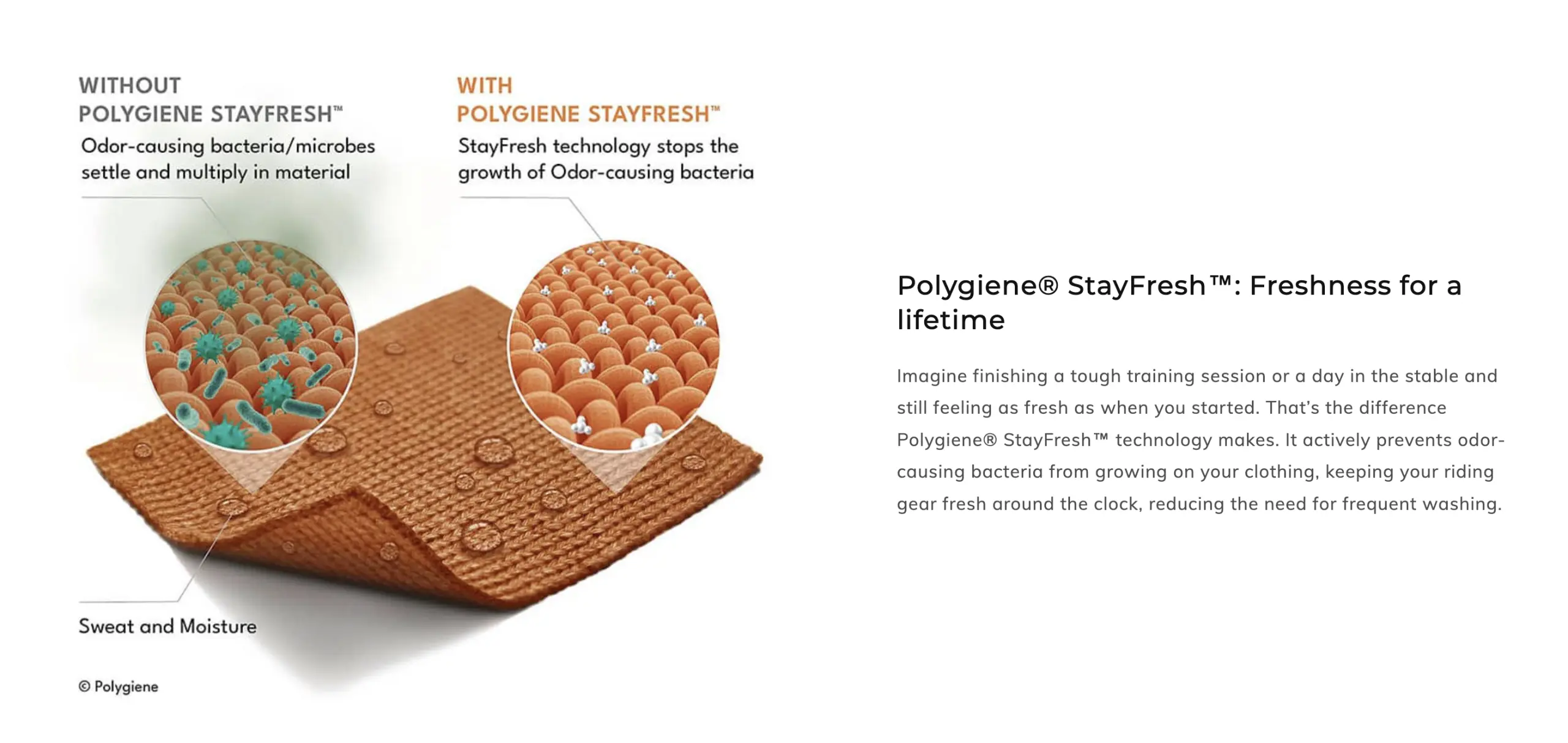 Schematische Darstellung: Textilfaser ohne und mit Polygiene StayFresh, Hemmung von geruchsbildenden Bakterien