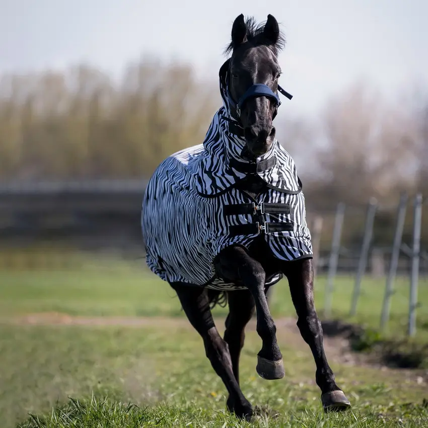 BUSSE Turnout Fly Sheet COMFORT PRO ZEBRA