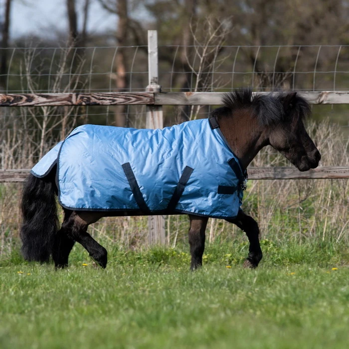 BUSSE Turnout Rug WINDCHILLY MINI 100