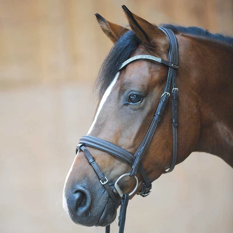 Trense JONAS Softleder mit englischem Reithalfter