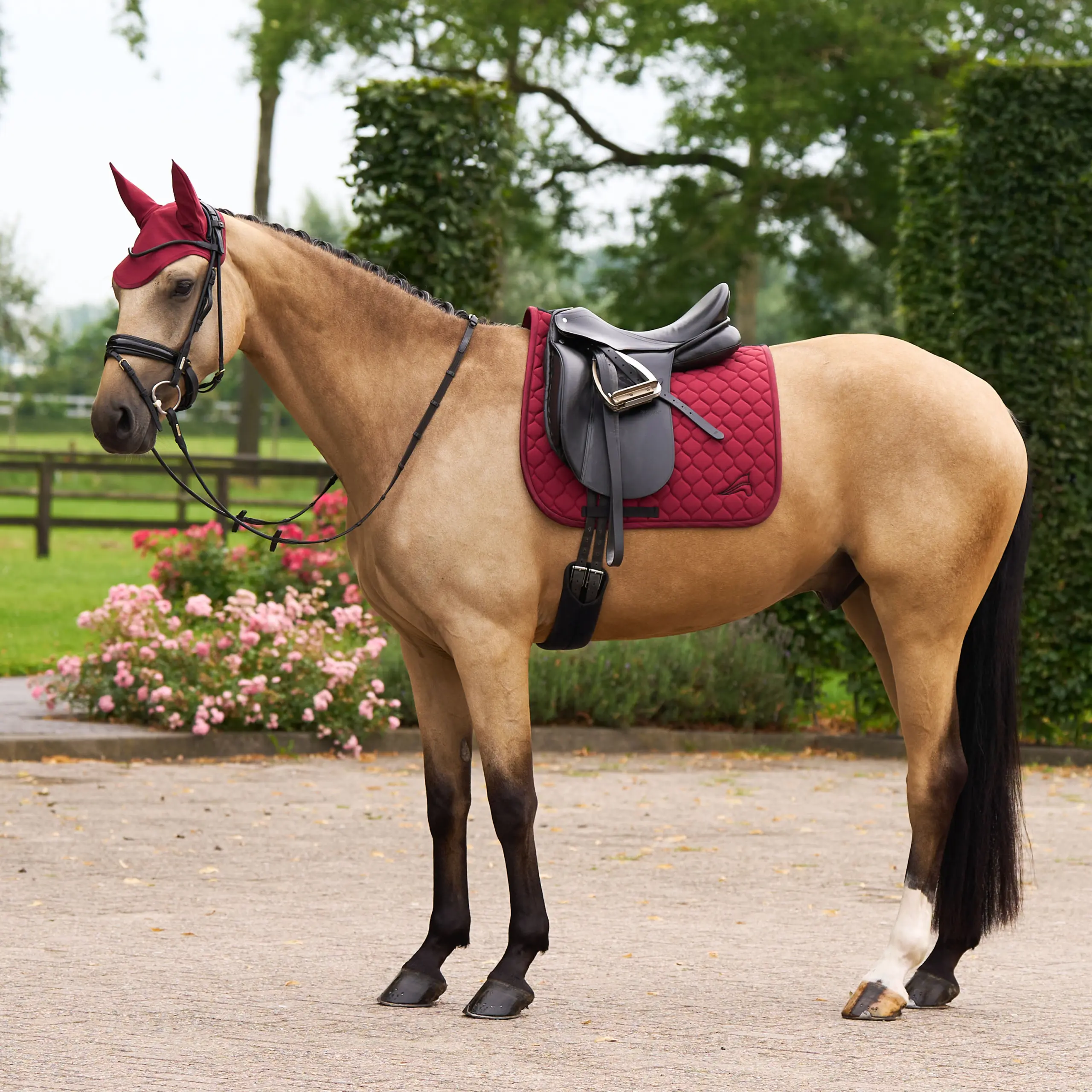 Fly veil ESCoco Summer 2026