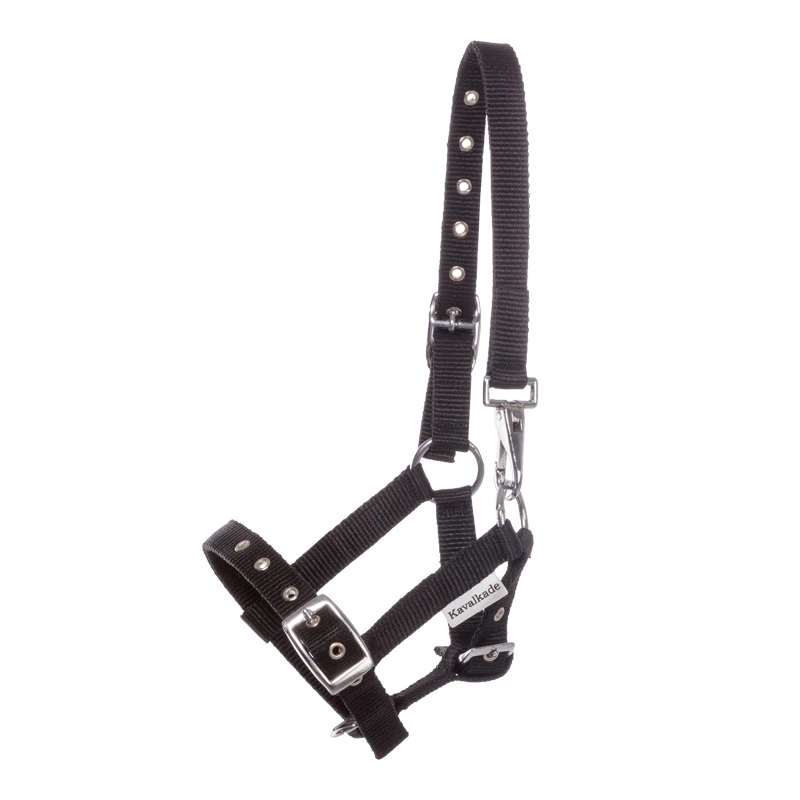 nylon Foal/Yearling halter