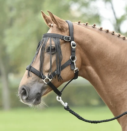 BUSSE Flystring Browband TAMPERE