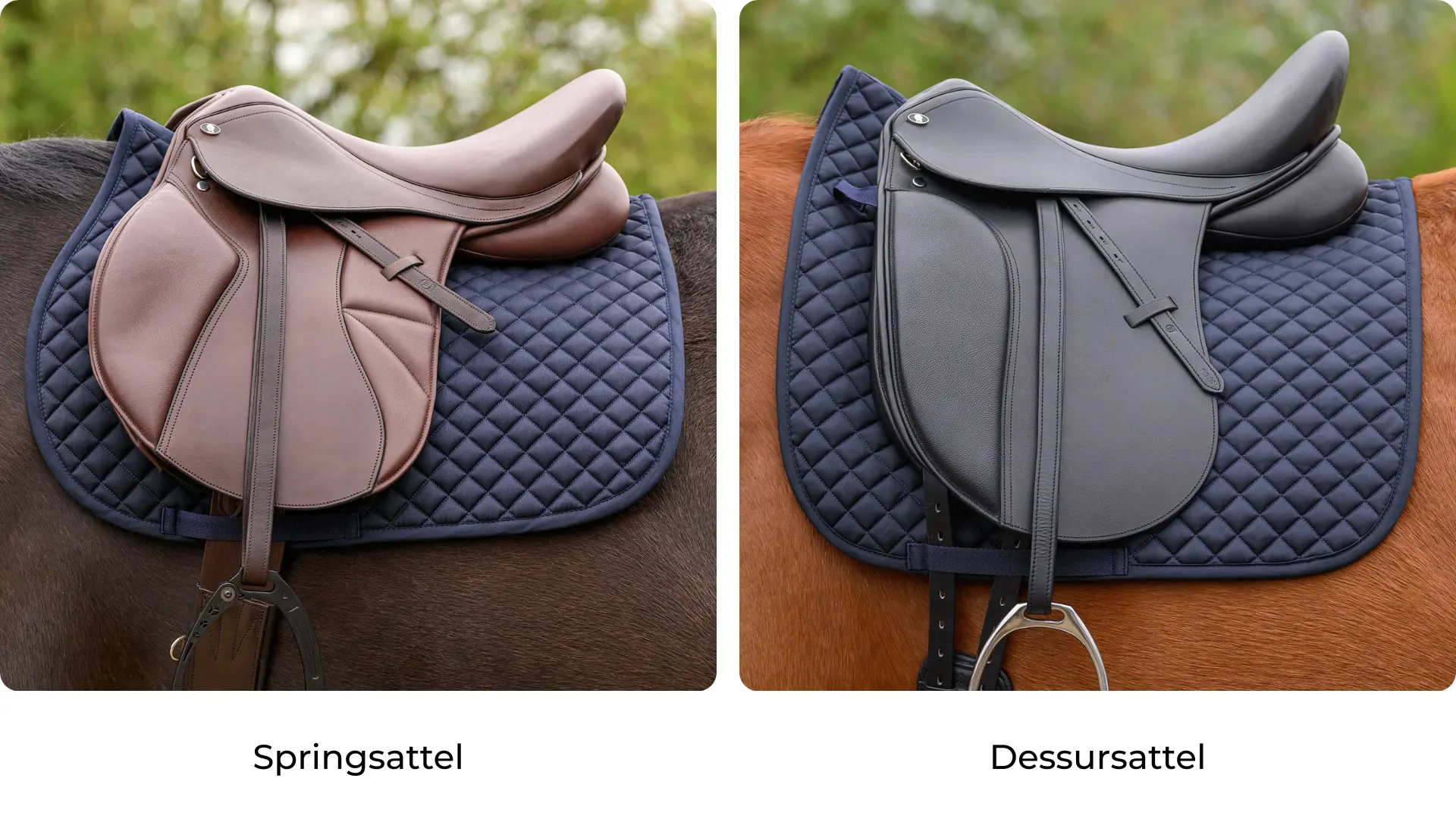 Spring- und Dressursattel als Vergleich 