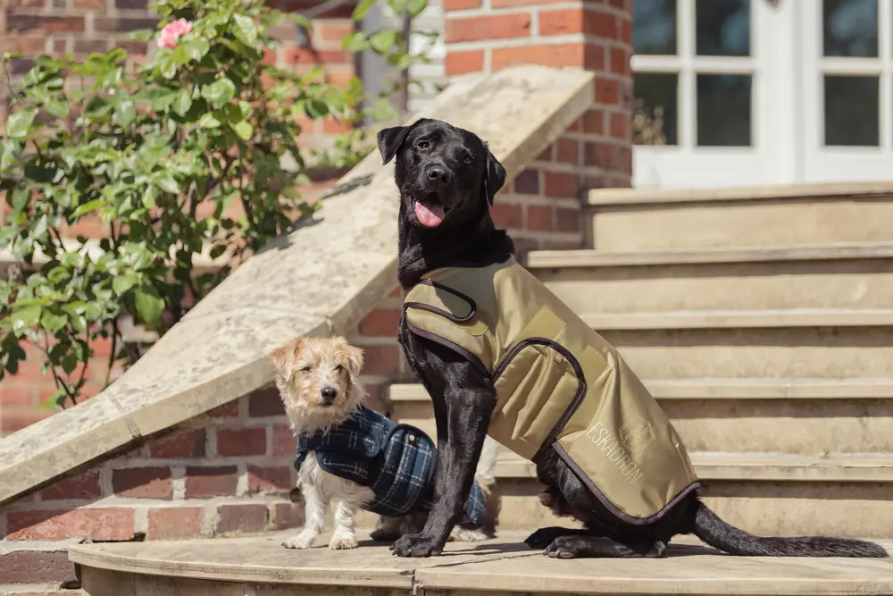 Dog coat 1680D Heritage 25