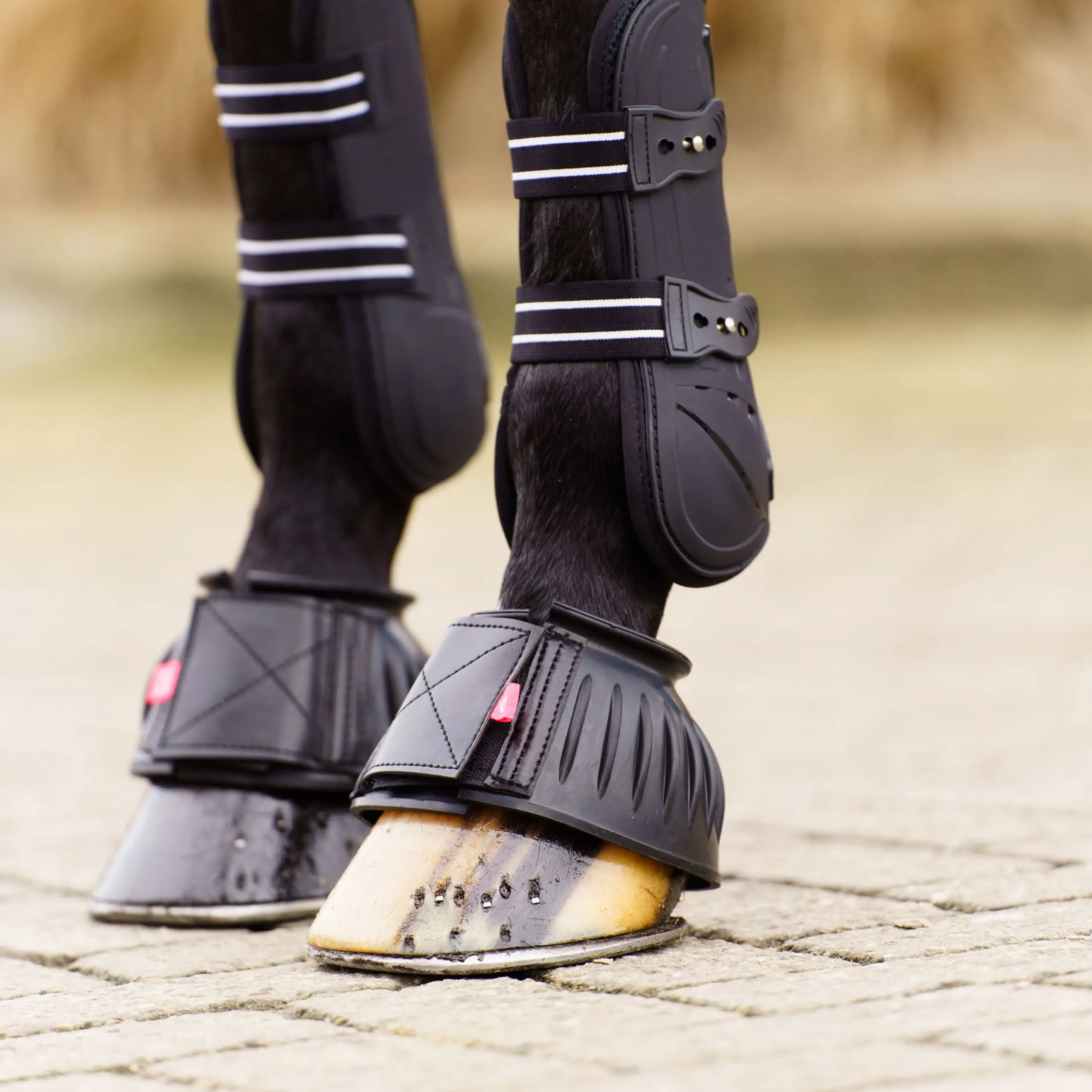 Hufglocken IRHBells Sommer 2026