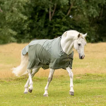 BUSSE Turnout Rug RAINFLY