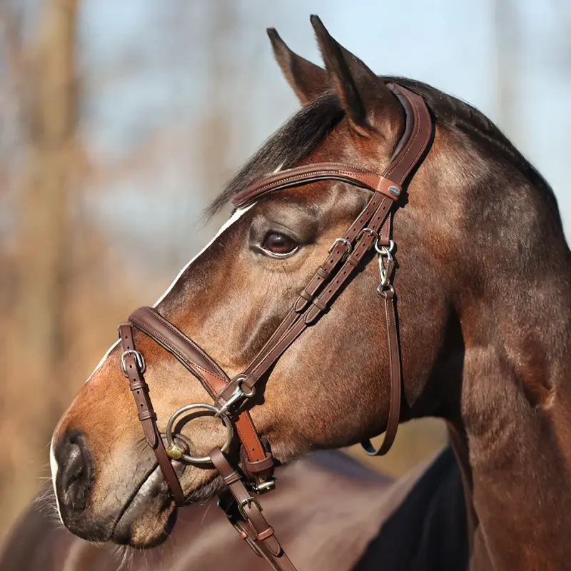 KAVALKADEBridle EVERYDAY english nb. -flash