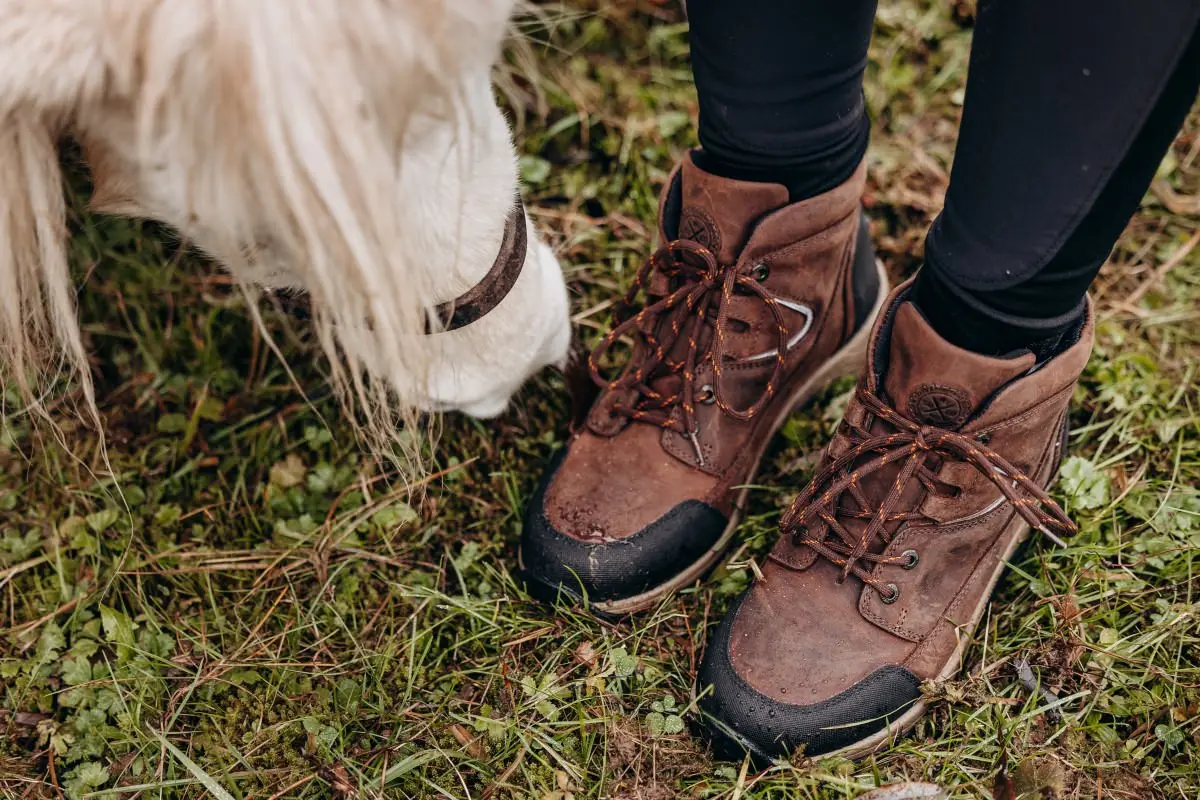 Reitschuhe FIELD LACE GripFTX mit Schnürung