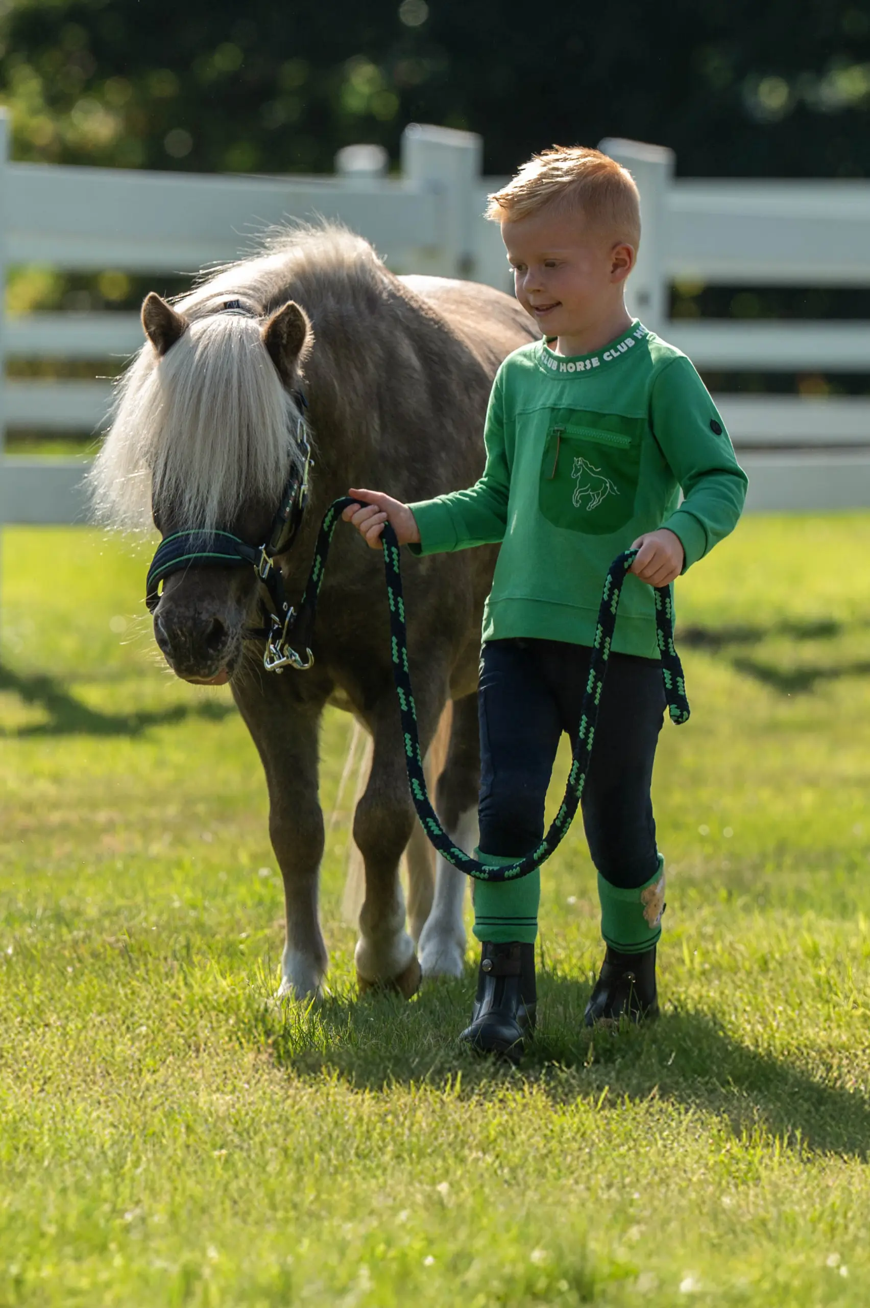 Headcollar MAUI shetland ponies summer 2026