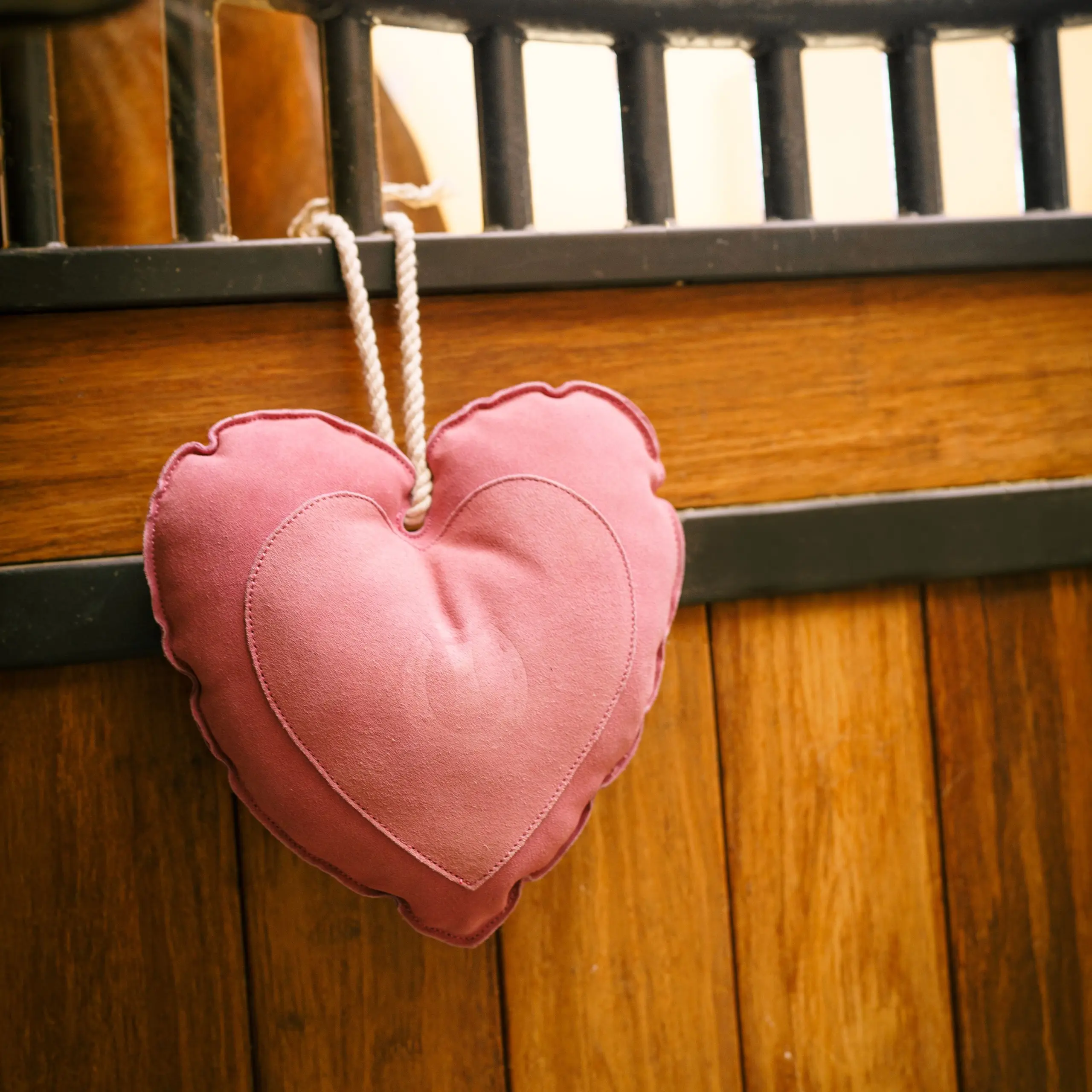 Stable buddy IRHHeart
