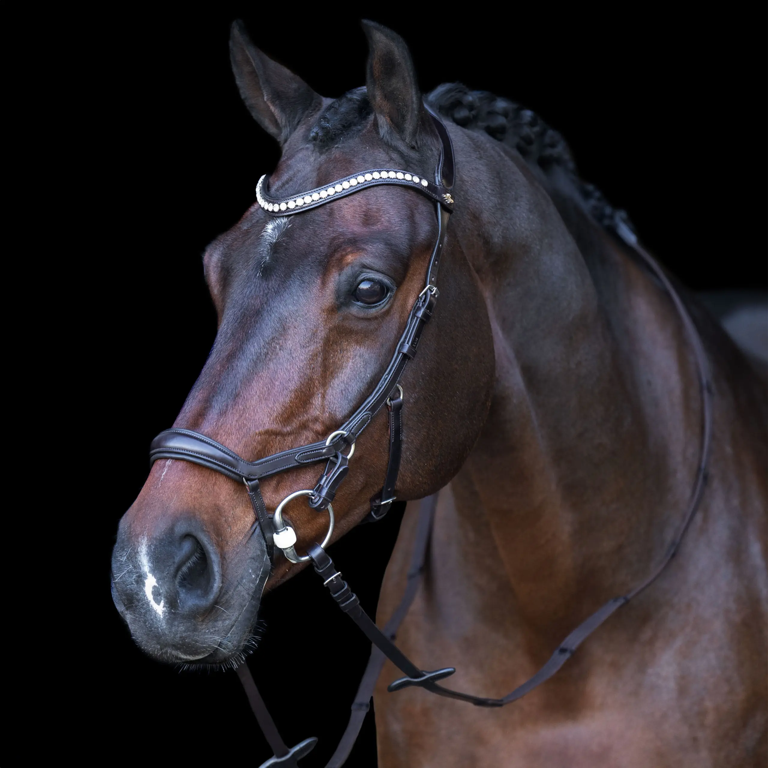 Trense HVP-Legacy Anatomisch deluxe
