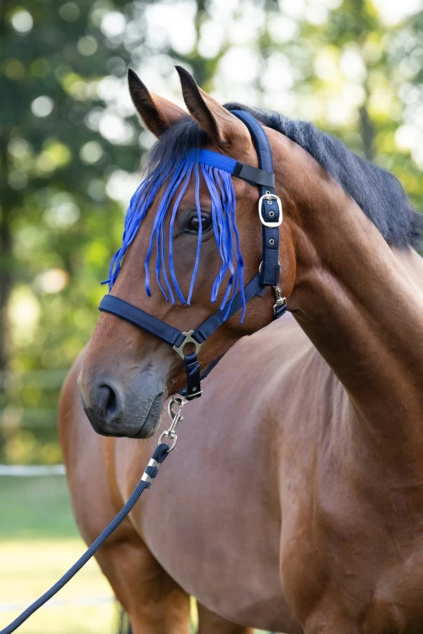 Fly Fringe Strap