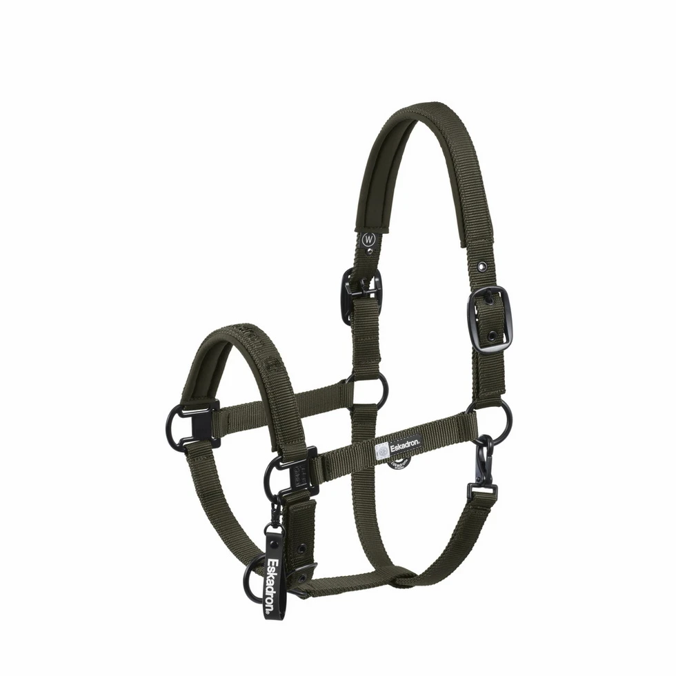 Halfter DOUBLE PIN Dynamic 2025