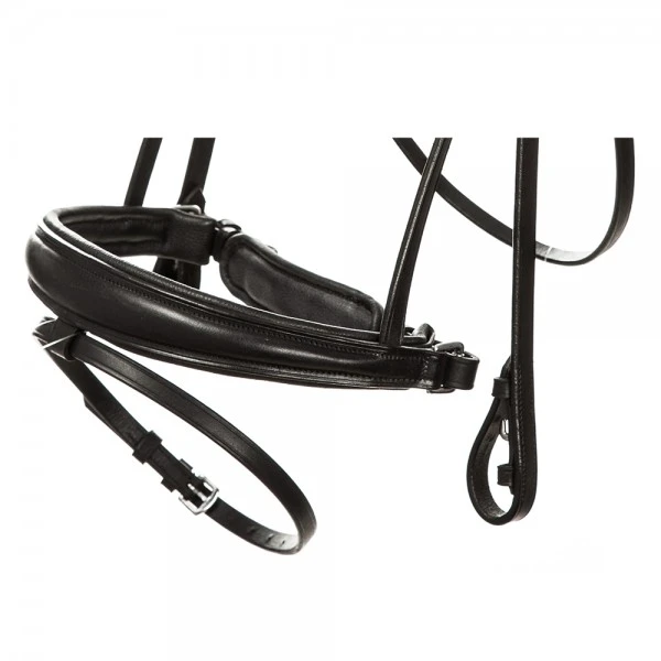 bridle MIA crank nb. with flash