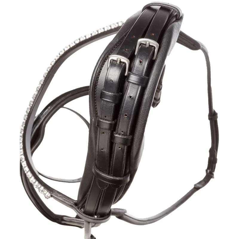 patent bridle FLORINA crank nb. with flash-round