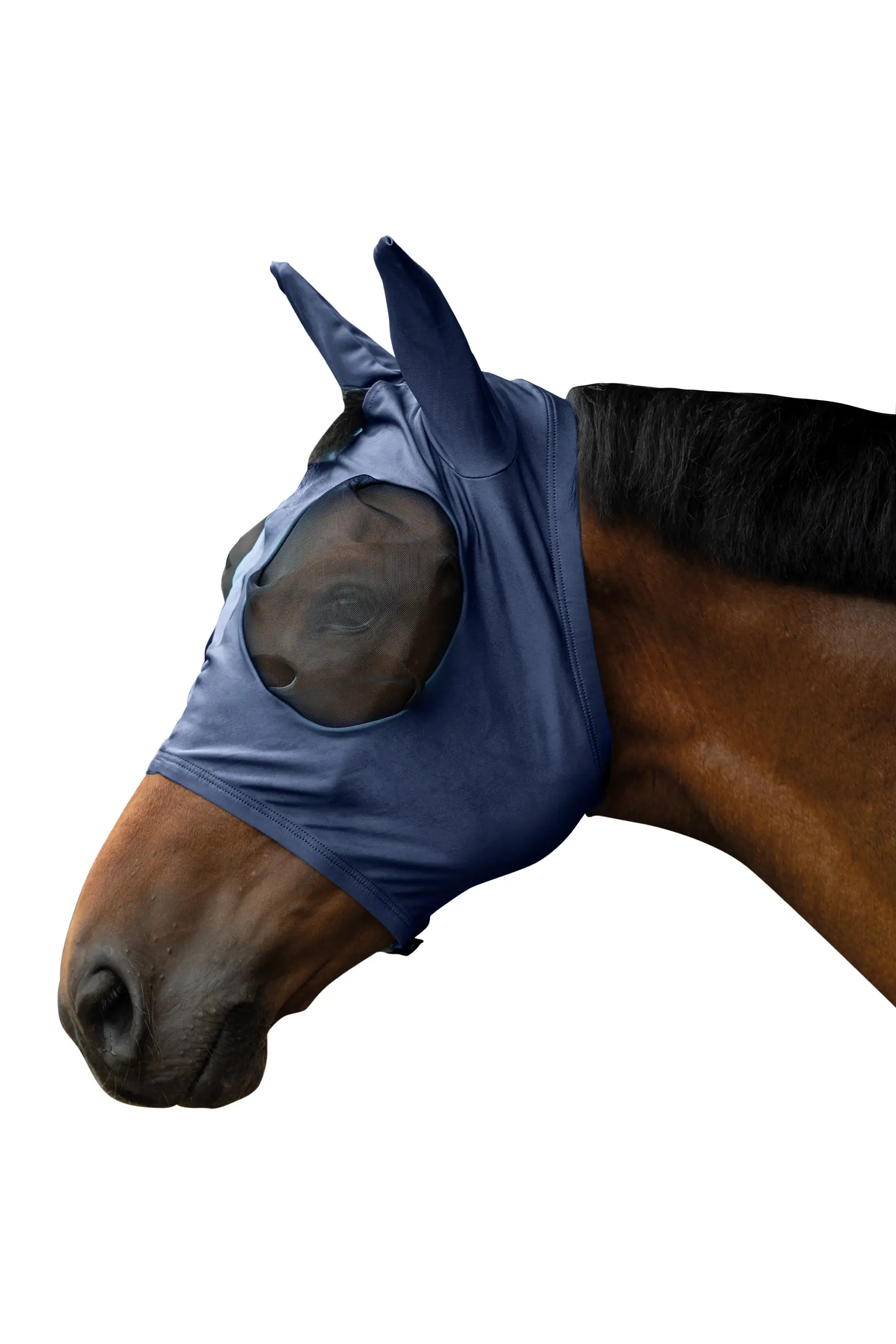 Anti fly mask ELASTIC summer 2026