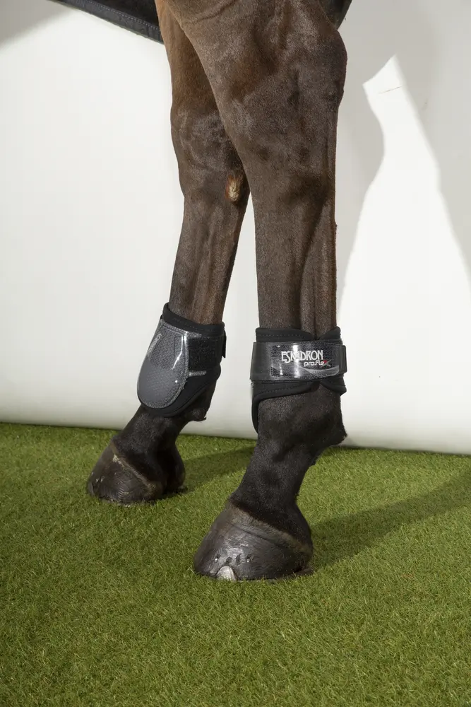Fetlock Boots PRO.FLEX CLASSIC H Core