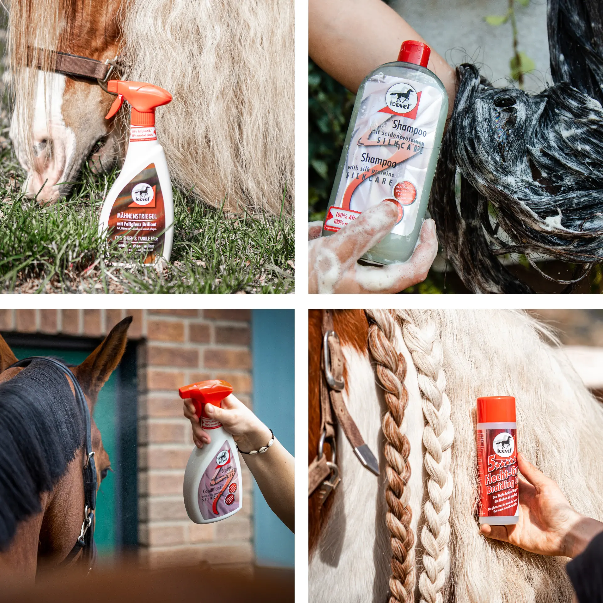 Fell- & Mähnenpflege-Set: Shampoo, Striegel, Mähnenstriegel