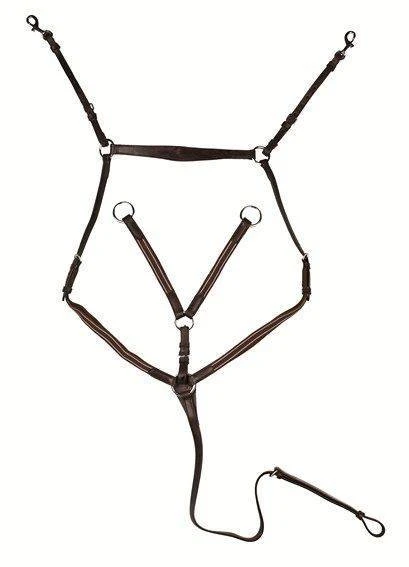 Breastplate/martingale silver fittings