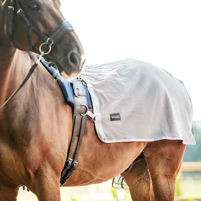 BUSSE Lunging Sheet FLY