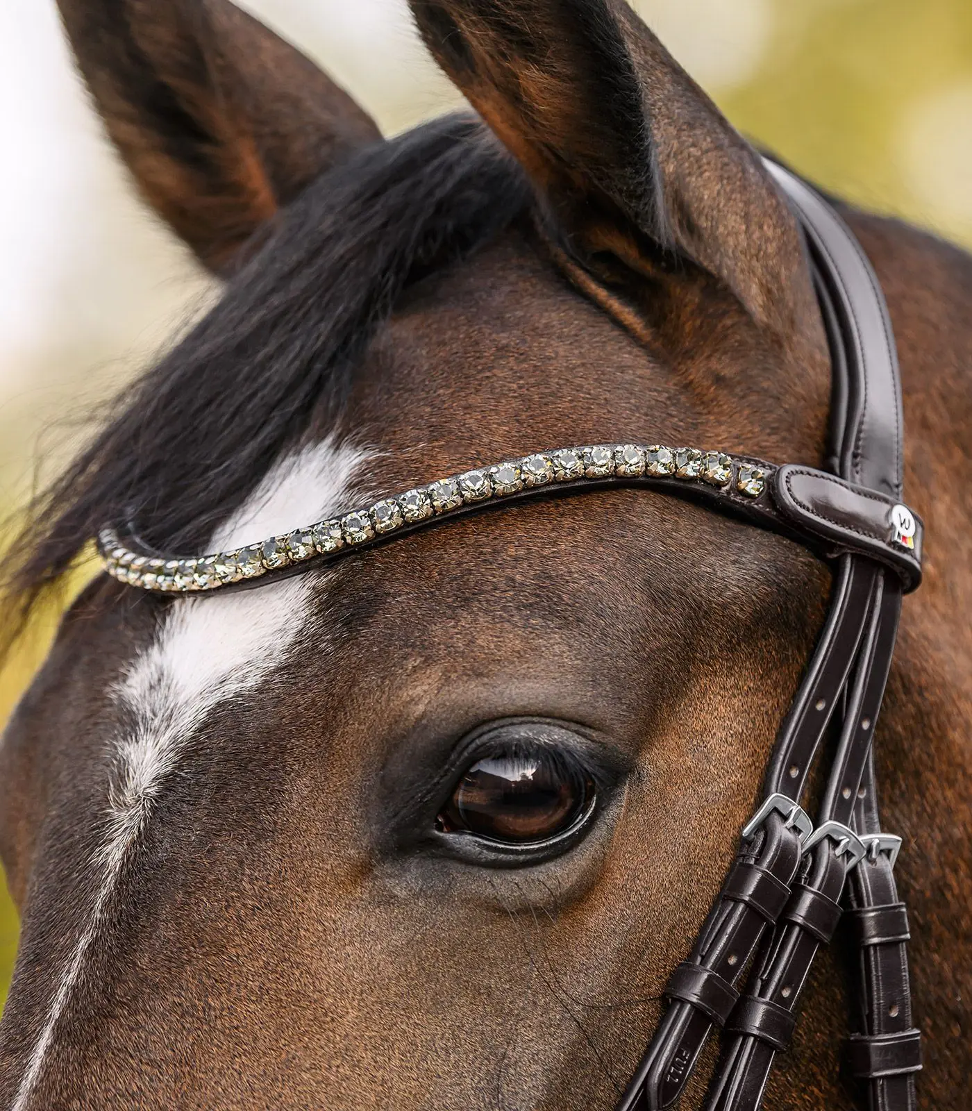 SHINE Waldhausen X-Line browband, brown