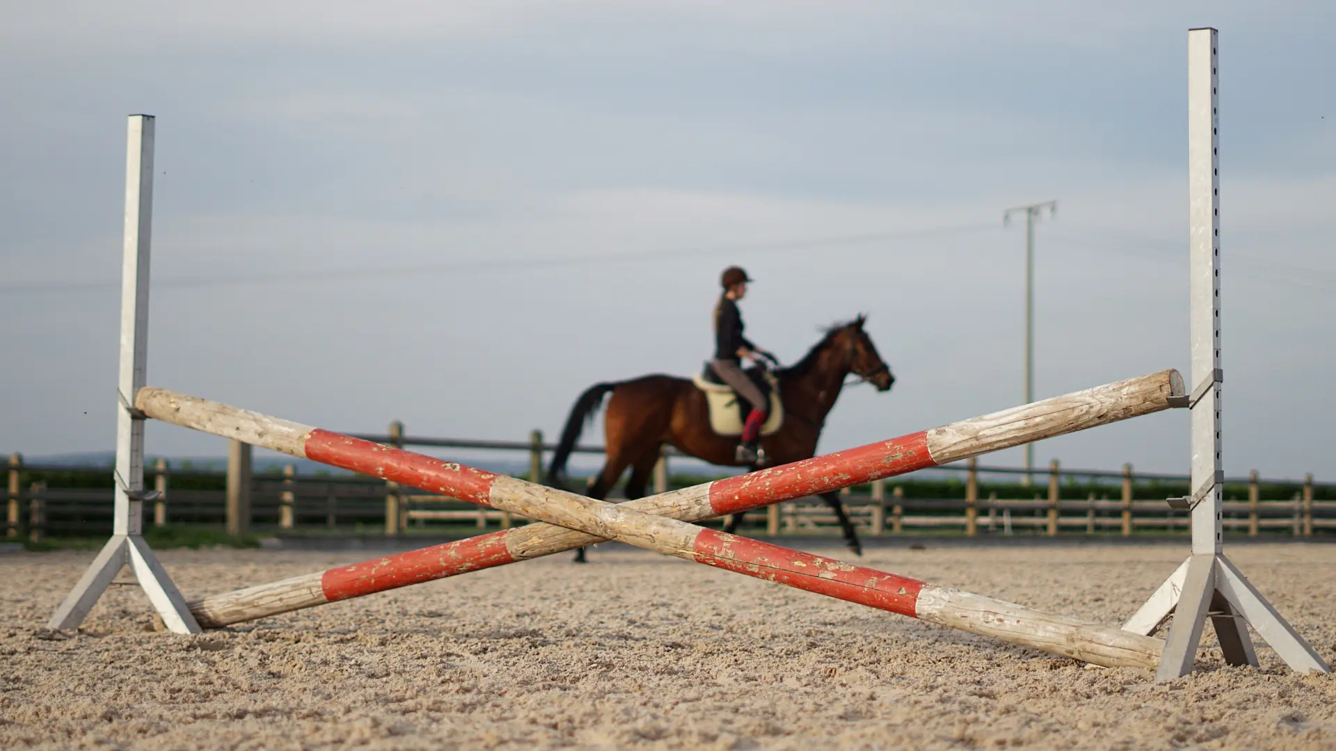 Pferd bei dem Training mit Sprung
