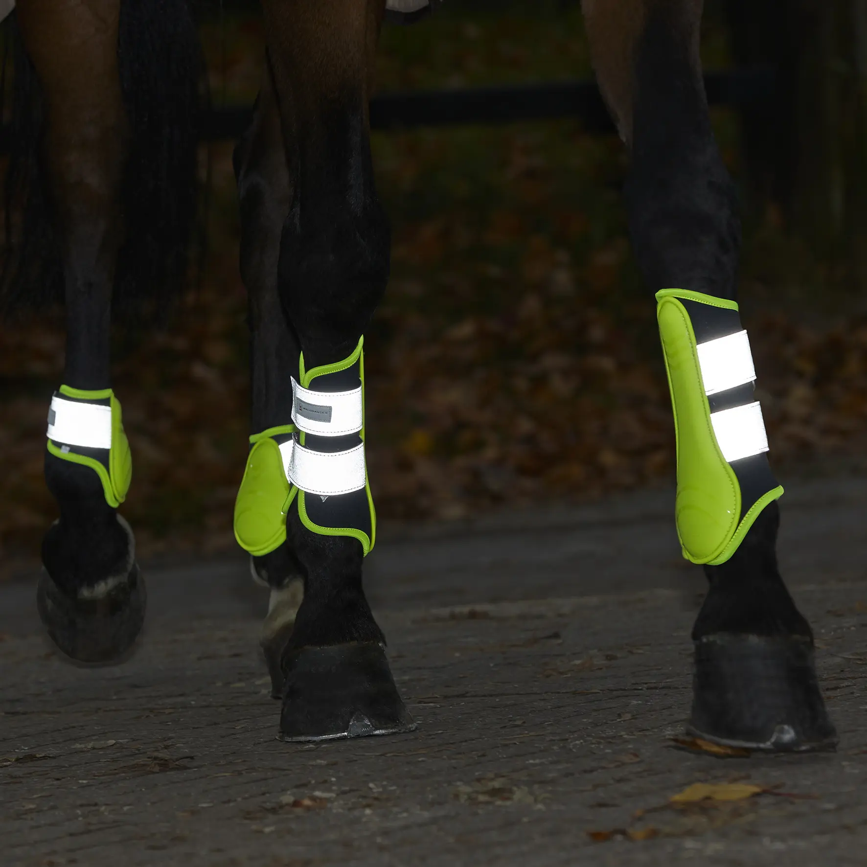 REFLEX Brushing Boots