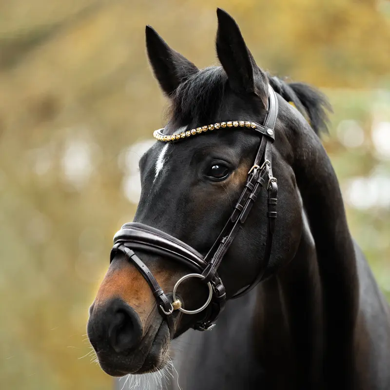 Dressur Trense ZORA mit schwed.-komb.Reithalfter