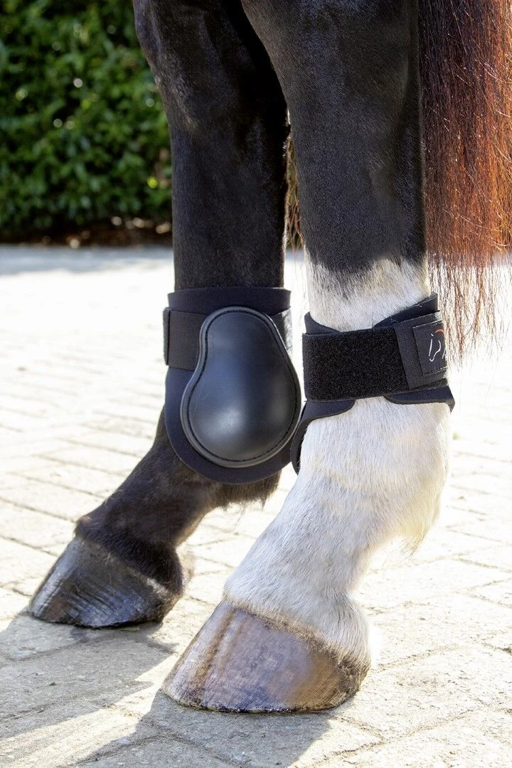 fetlock boots PREMIUM hind legs