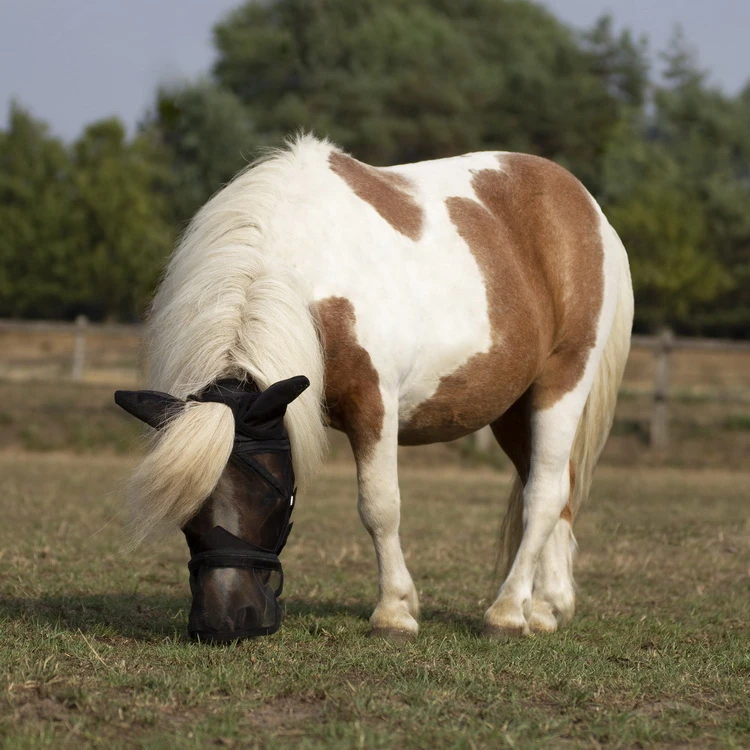 BUSSE Fly Mask FLY PROTECTOR