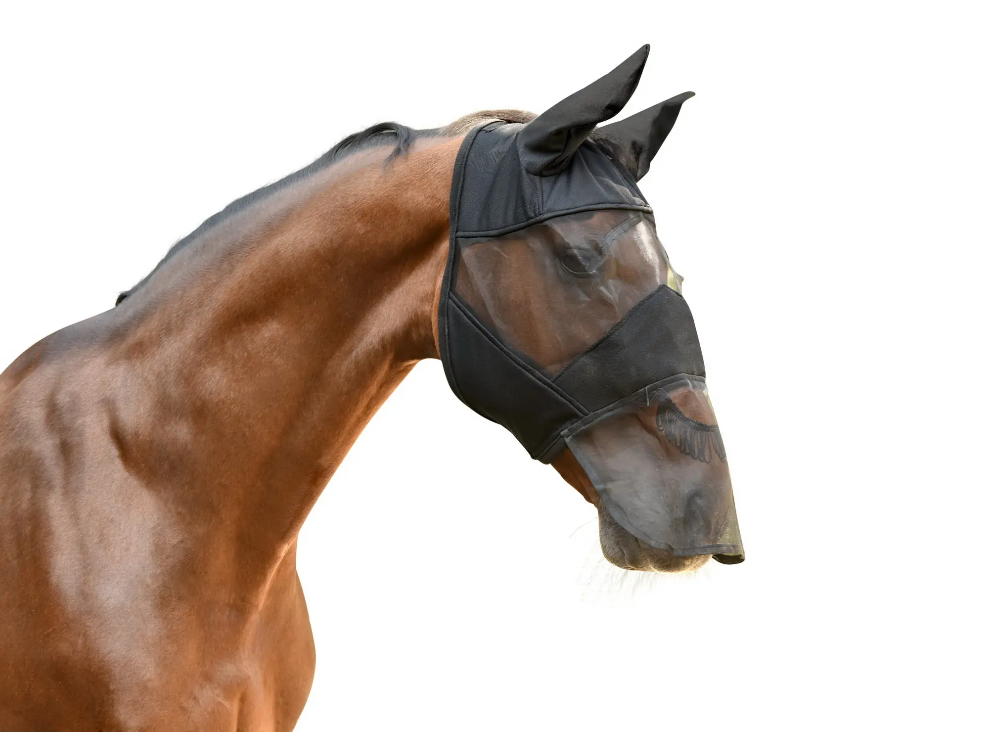 KERBL Fly mask black, with ear and nose protection