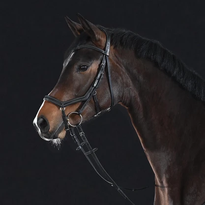 BUSSE Anatomical Noseband TAKE-OFF LINE AN