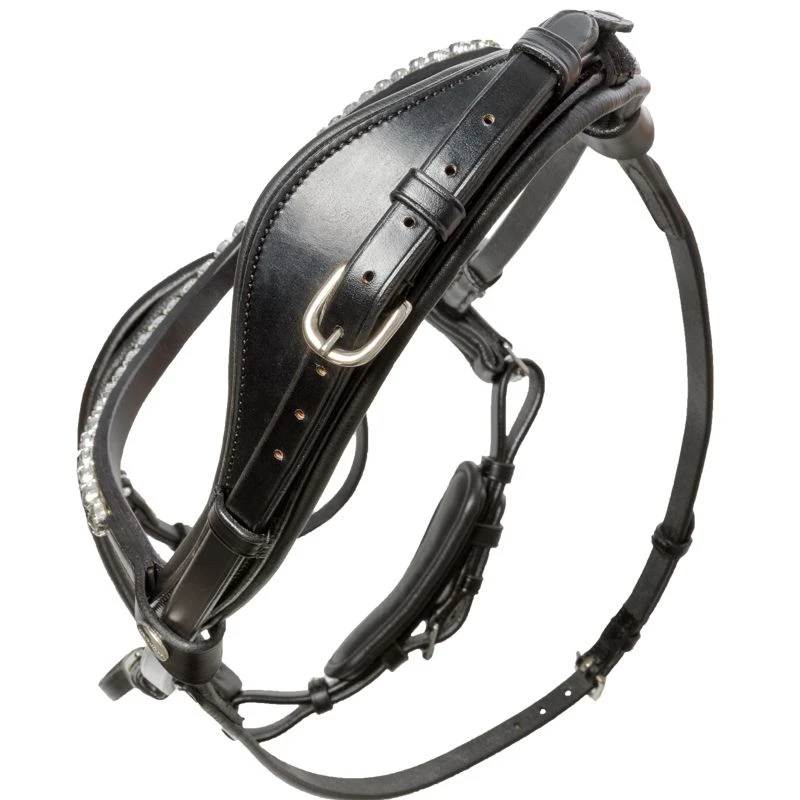 bridle AYANA crank nb. with flash