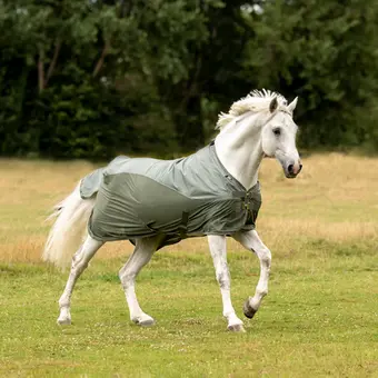 BUSSE Turnout Rug RAINFLY