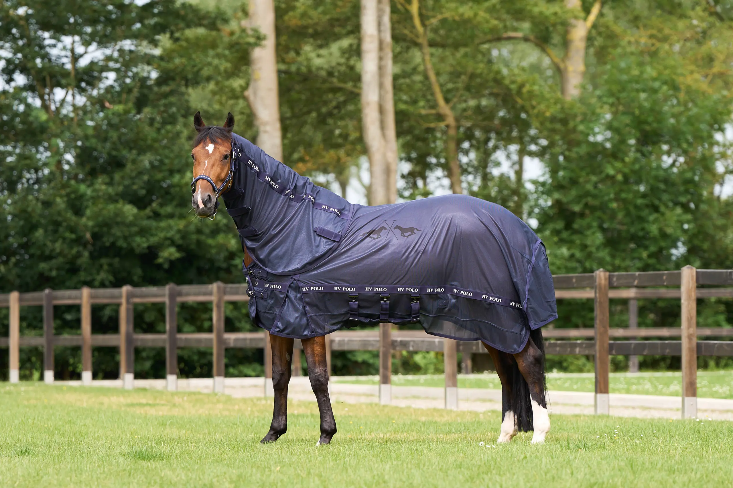 Fly blanket HVPNena Sommer 2026
