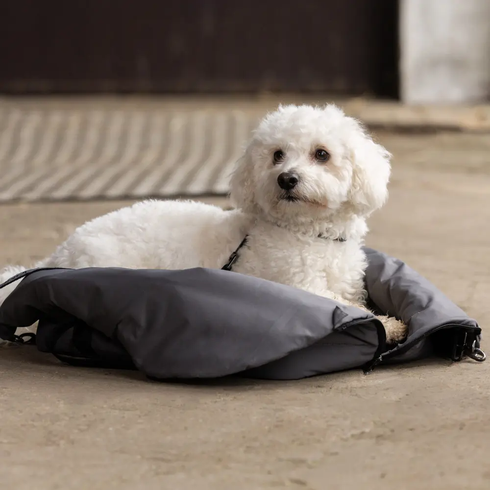Hundetasche KLMacey mit Decke Winter 2025