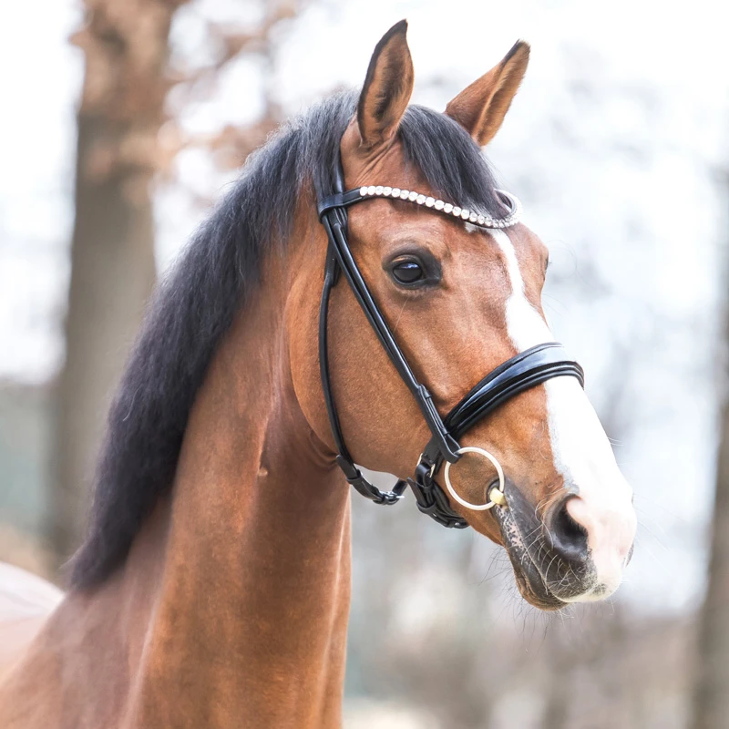 patent bridle FLORINA crank nb. with flash-round