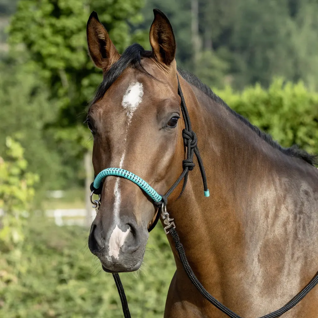 USG Knotted Rope Halter with Reins