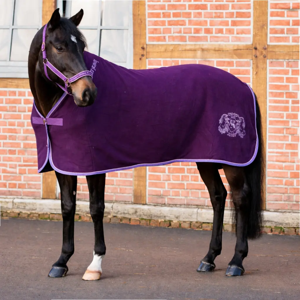 Fleece - Abschwitzdecke "Unicorn Academy" mit Kordel