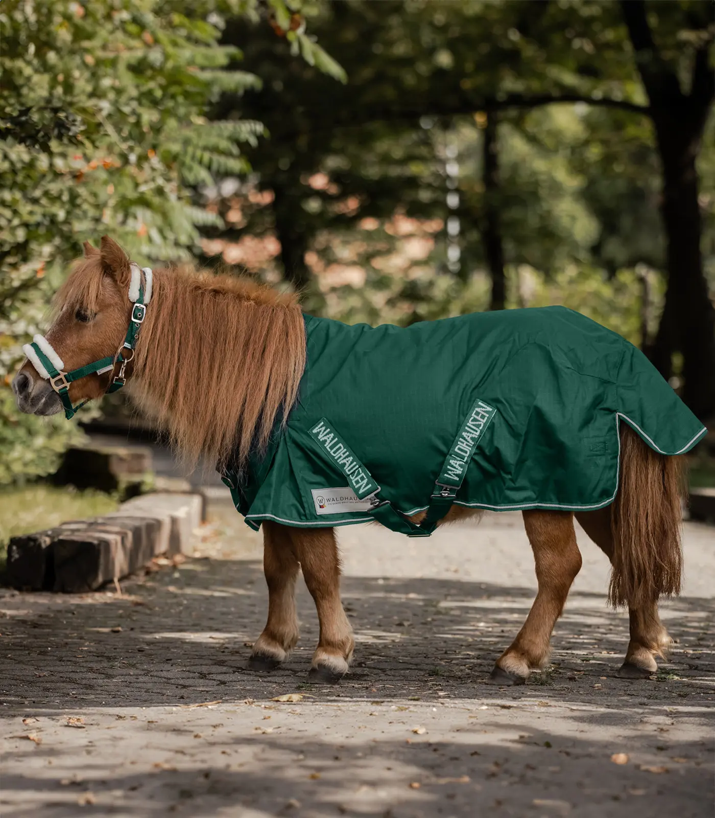 COMFORT Rain Blanket for Shetty, 100g