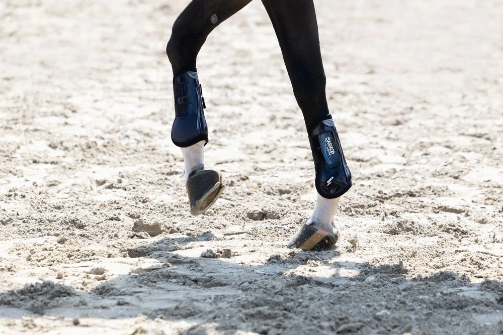 ESKADRON Tendon Boots PRO.FLEX CLASSIC F Core