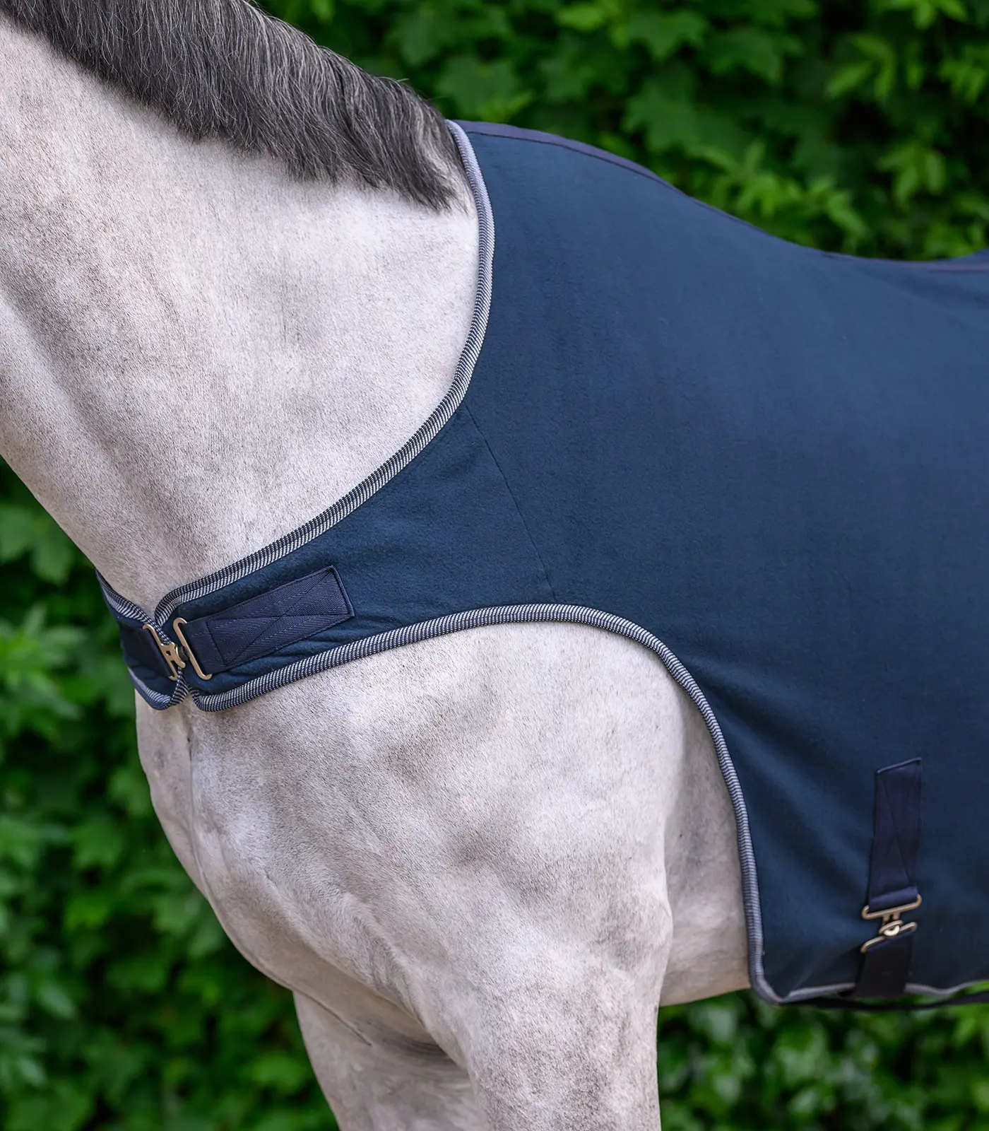 ECONOMIC fleece horse walker rug