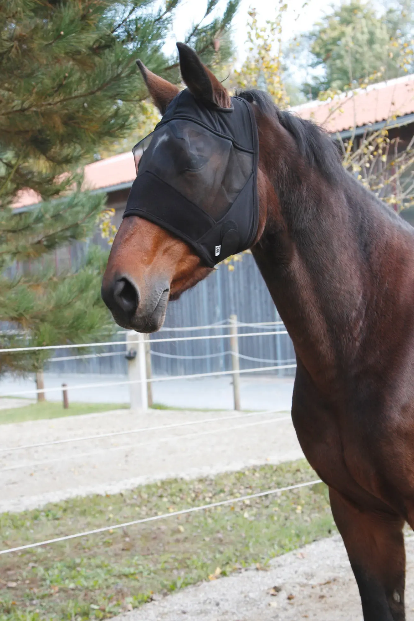 KERBL Fly mask, black, with cut-outs for the ears