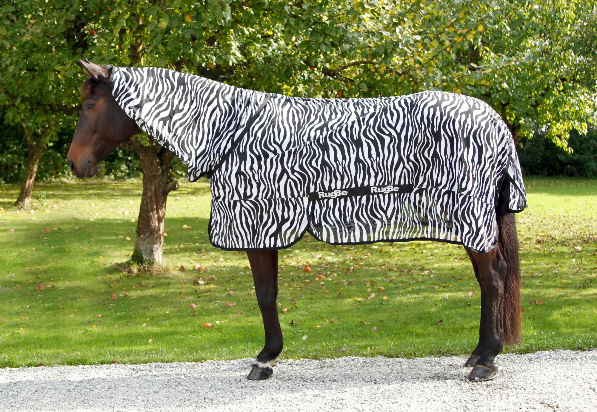 RugBe Zebra Fliegen- und Ekzemerdecke mit Halsteil