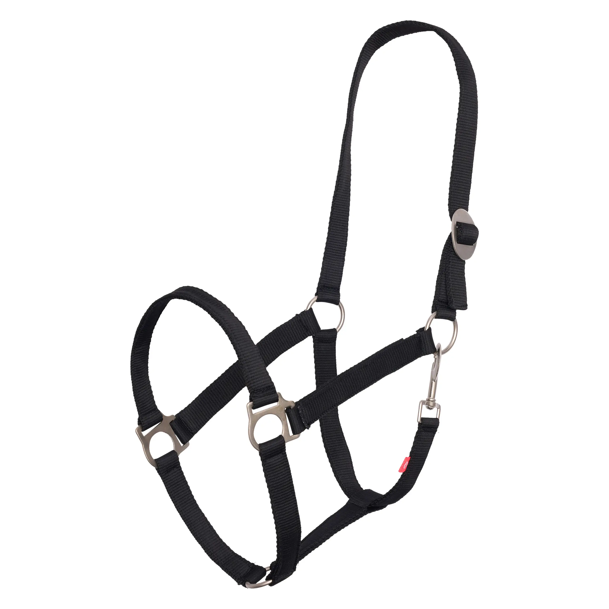 Headcollar IRHEconomic Summer 2026