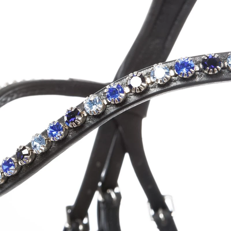 bridle OCEAN crank nb.with flash