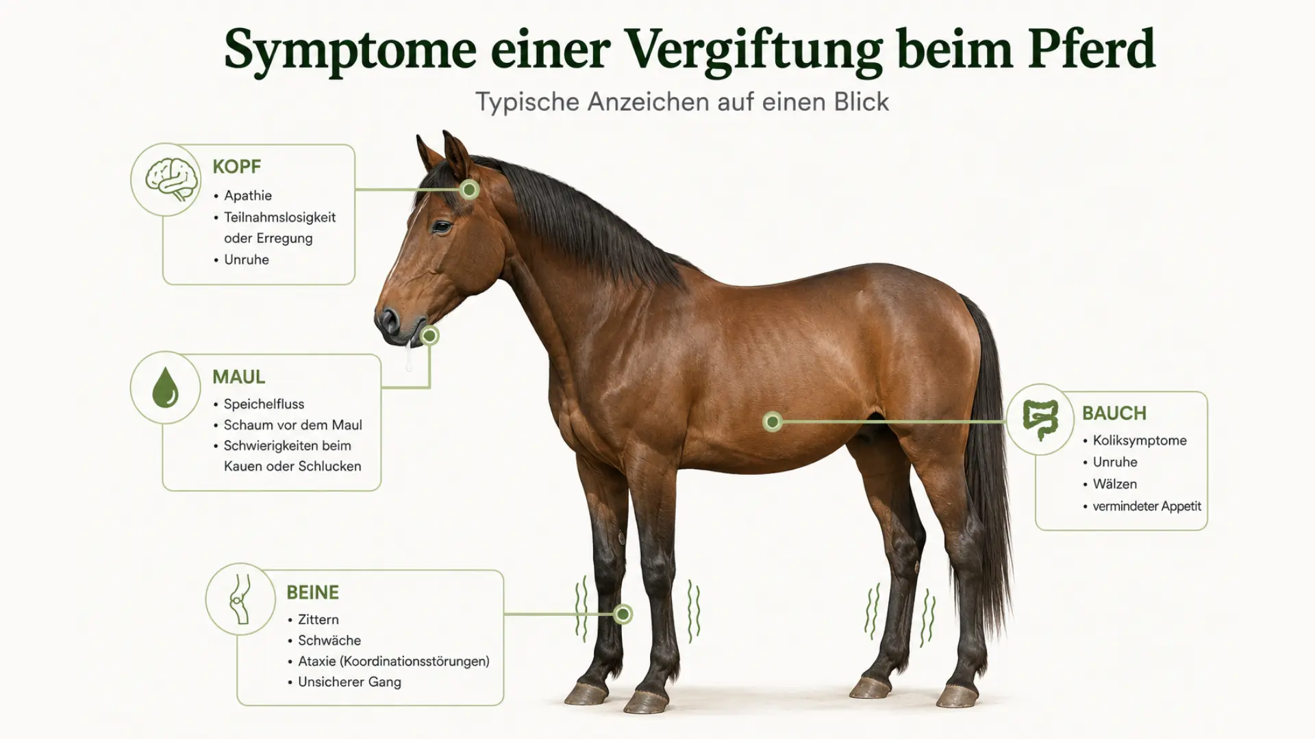 Symptome einer Vergiftung beim Pferd im Überblick