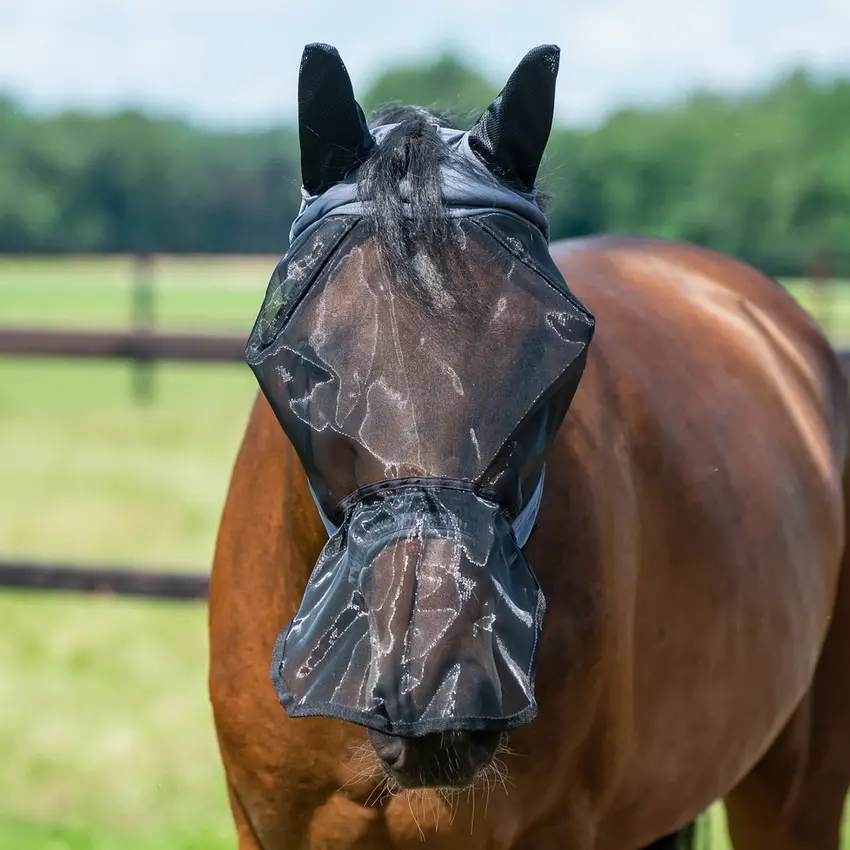 BUSSE Fly Mask FLY BUCKLER GAP PLUS